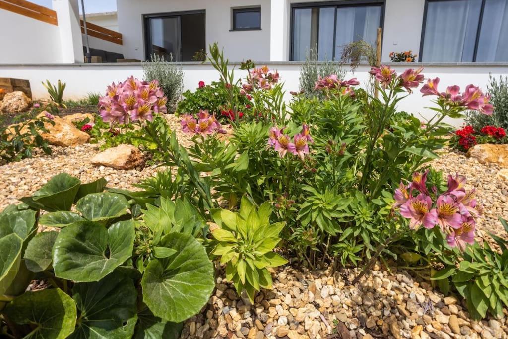 Casa Monte Salema Vila do Bispo Dış mekan fotoğraf