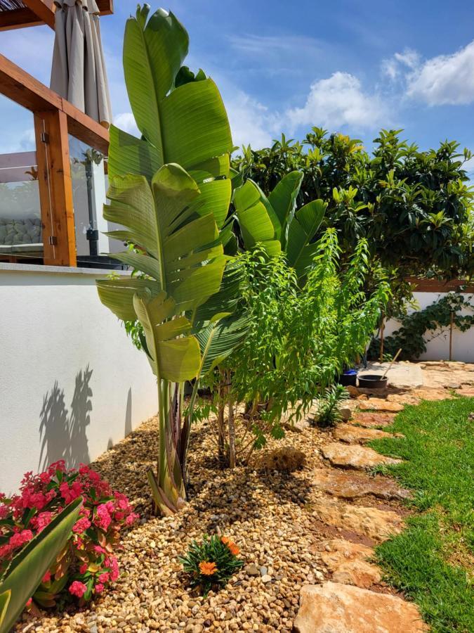 Casa Monte Salema Vila do Bispo Dış mekan fotoğraf